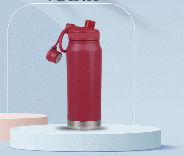 Stainless Steel Bottle with Handle