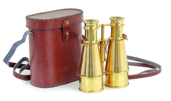 Brass Nautical Binocular with Case