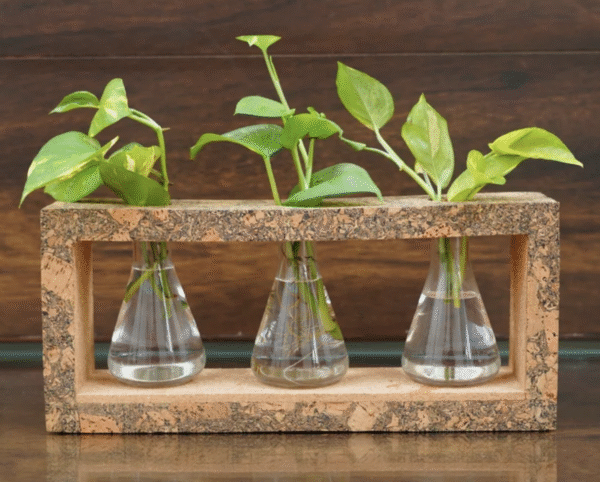 Cork Flask Test Tube Planter