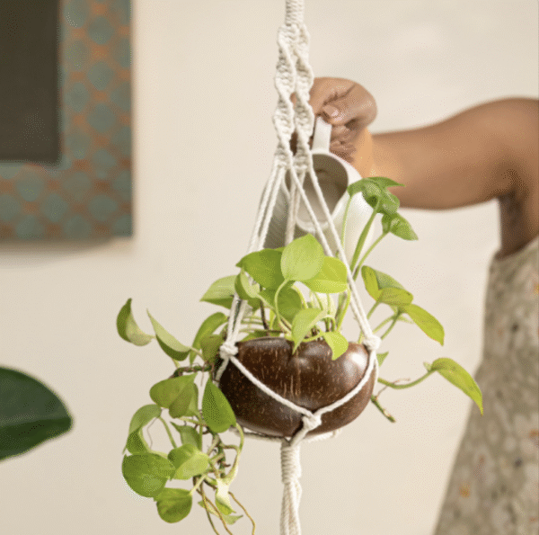 Hanging Planter – Natural Coconut Shell Pot