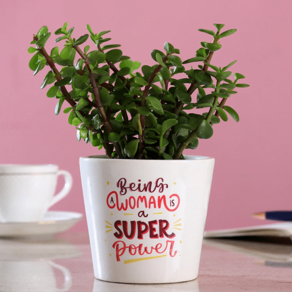 Customised Table Plant